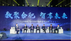 2017中国（合肥）大数据产业发展峰会自合肥圆满召开