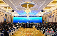 安徽译博翻译咨询服务有限公司 助力第一届中非经贸博览会