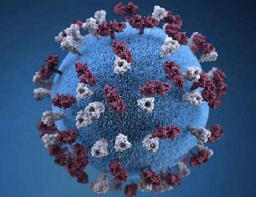 新冠肺炎相关英语词汇汇总。