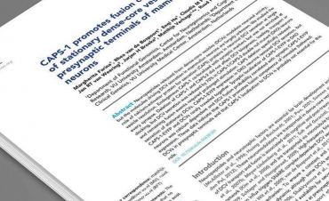 安徽专业翻译公司校审流程如何？