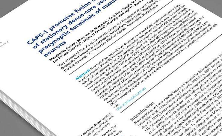 安徽专业翻译公司 安徽专业翻译公司