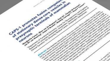 合肥论文翻译如何收费？