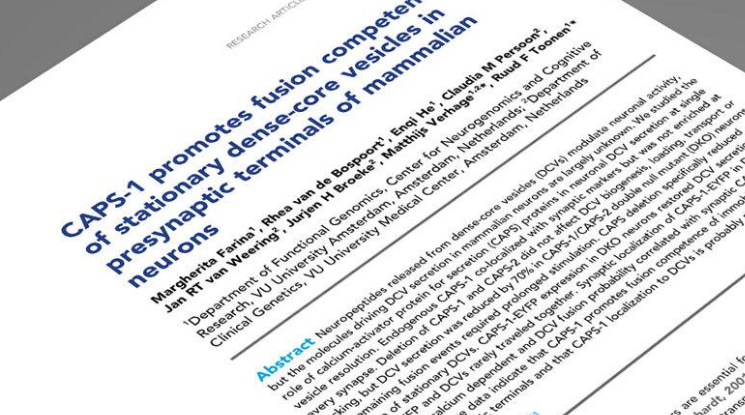 合肥论文翻译 合肥论文翻译